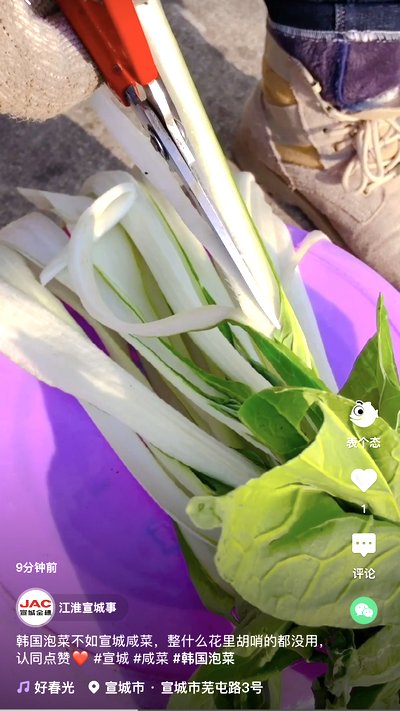 韓國(guó)泡菜不如宣城咸菜